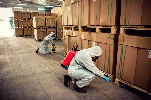 Best Bed Bug Extermination  in Nesconset, NY