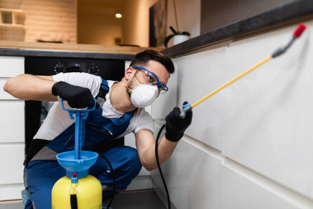 Reliable Nesconset, NY Pest Control Solutions