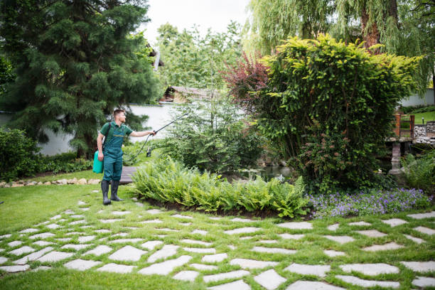 Best Best Pest Control Companies  in Nesconset, NY