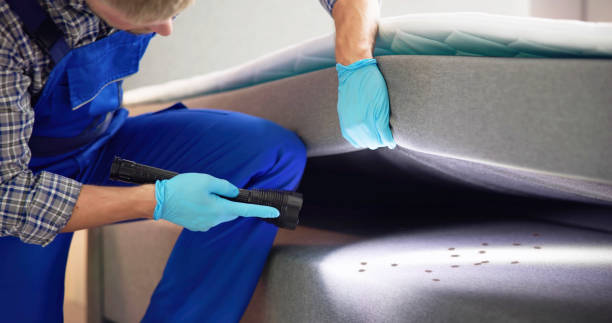 Pest Prevention Services in Nesconset, NY