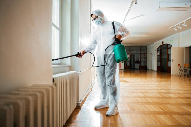 Best Local Pest Control Services  in Nesconset, NY